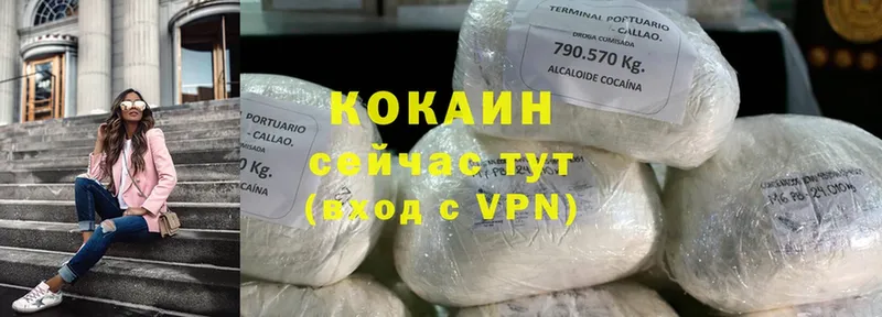 COCAIN Fish Scale  купить наркоту  Нижние Серги 